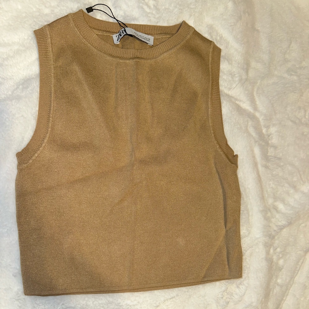 Zara brown sweater vest